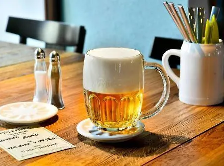 Hotel Restaurant Darwin Prag